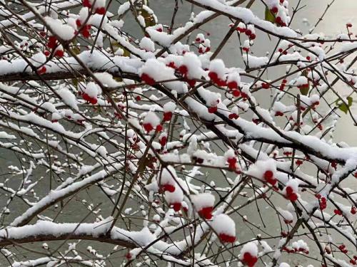 微信图片_202001161340532