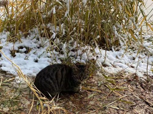 微信图片_202001161340534