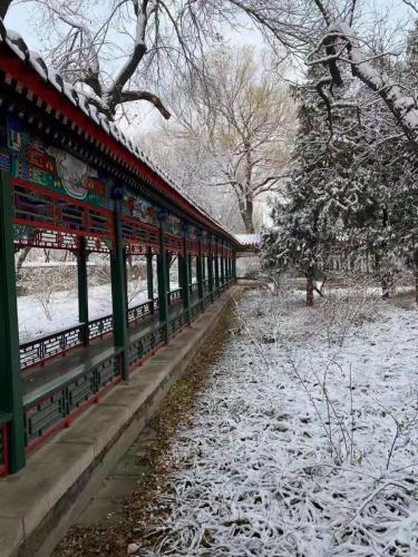 微信图片_202001161340535