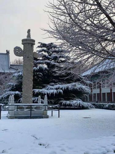 微信图片_202001161340536