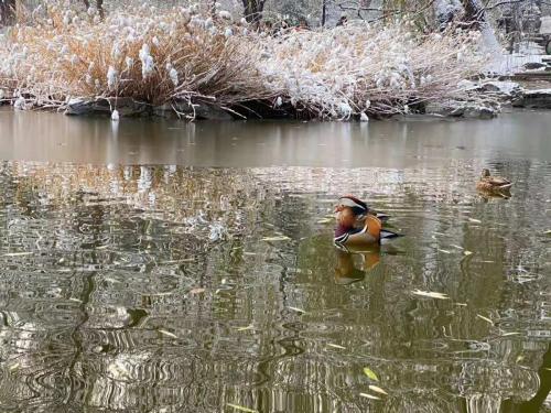 微信图片_202001161340537