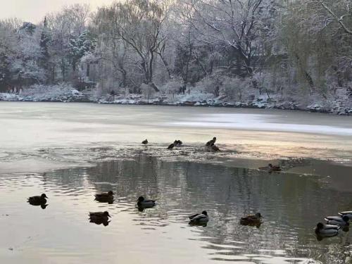 微信图片_202001161340538