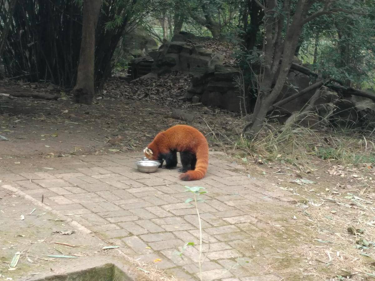 IMG 20170213 125443 - 副本